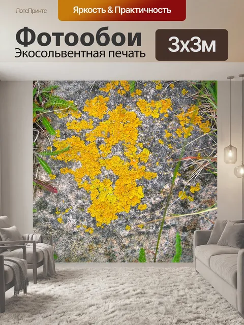 Фотообои Камень
