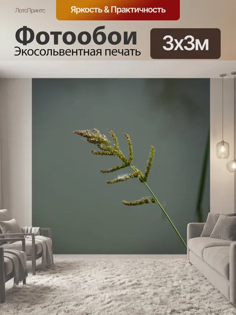 Фотообои Изолированный луговой тростник