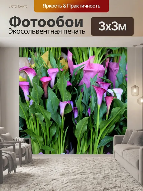 Фотообои Лилия течет