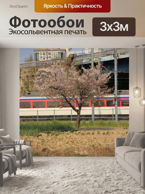 Фотообои Корея