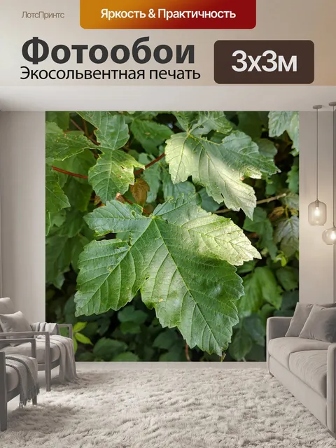 Фотообои Лист