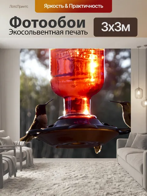 Фотообои Два кормления колибри