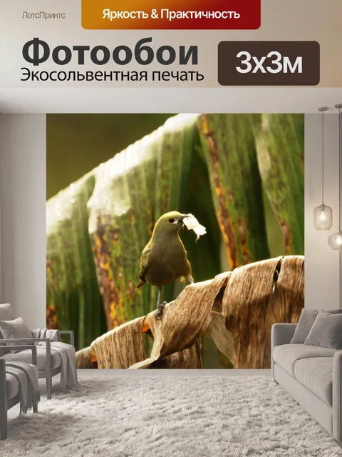 Фотообои Природа