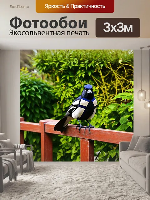 Фотообои сорока, сидящая на заборе в старом саду, полном разросшихся кустов и винтажных предметов