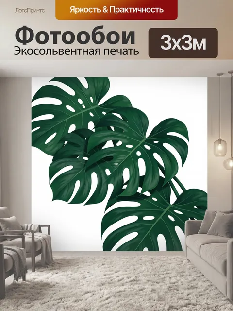 Фотообои Тропические листья монстеры
