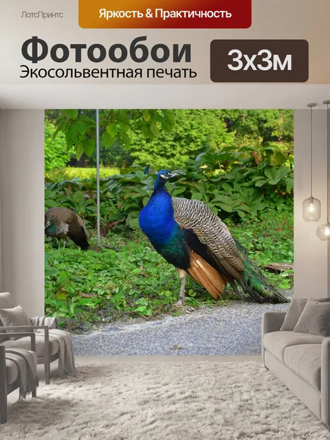 Фотообои Павлин