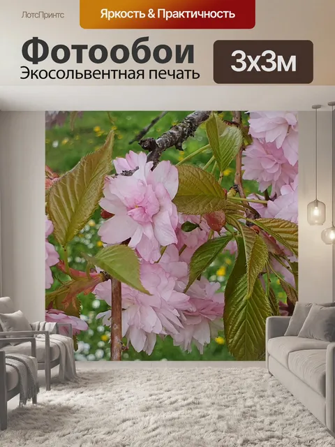 Фотообои Цветение вишни