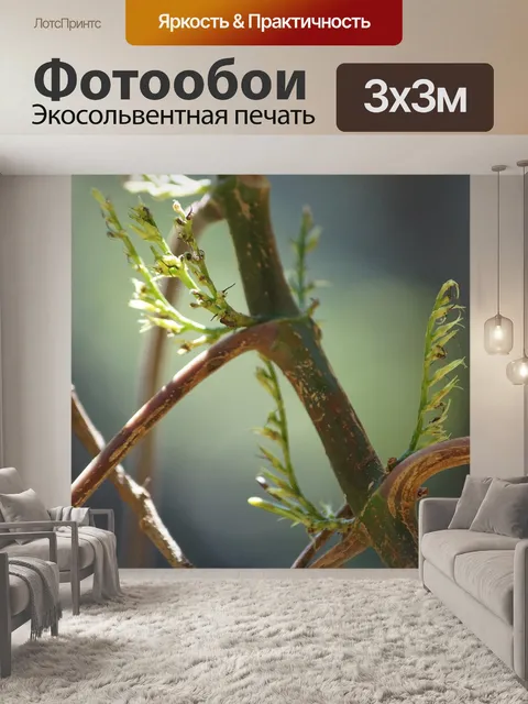 Фотообои Растения