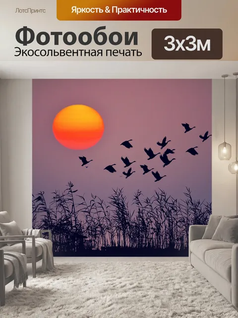 Фотообои Пейзаж закатных птиц