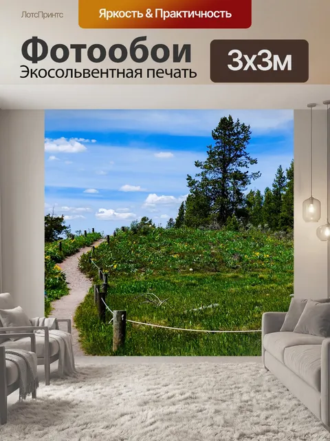 Фотообои Путь с деревьями