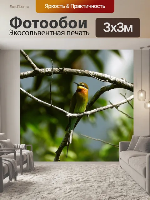Фотообои Птица