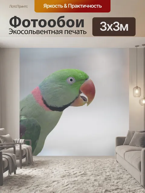 Фотообои Птица