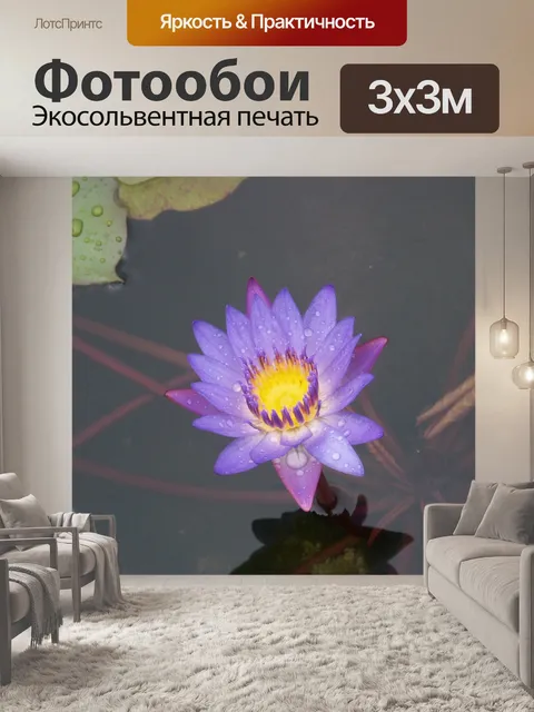 Фотообои Цветок