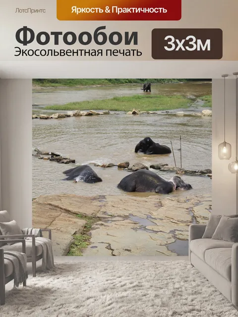 Фотообои Вода