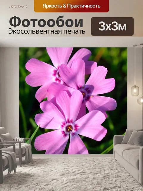 Фотообои Фиолетовый Цветы