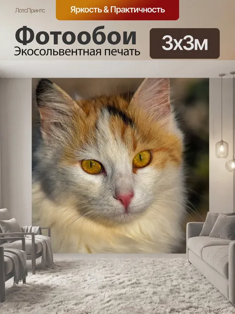 Фотообои Кошка