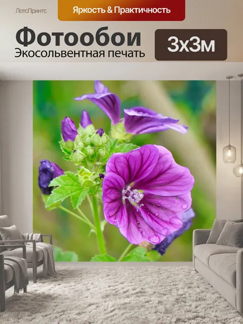 Фотообои Цветы