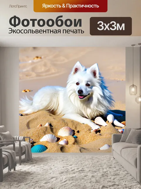Фотообои изобразите белого шпиц-собаки