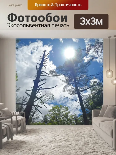 Фотообои Солнце и деревья