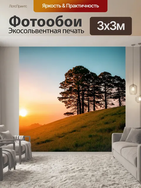 Фотообои закат на мечтательном холме