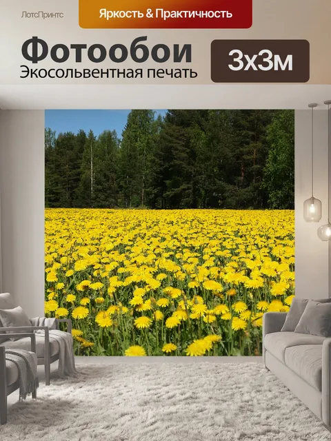 Фотообои Одуванчик