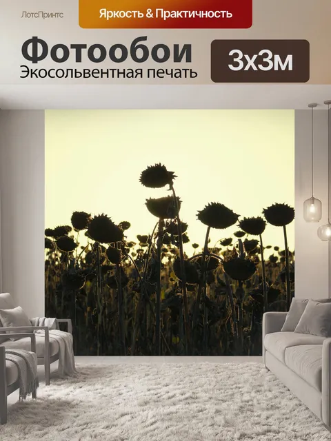 Фотообои Подсолнечник