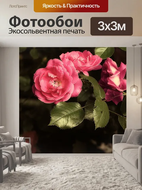 Фотообои Роуз