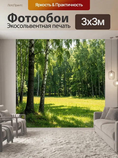 Фотообои Березовая роща на солнечной поляне