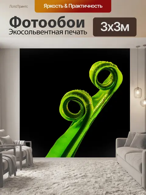 Фотообои Папоротник
