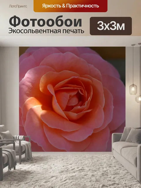 Фотообои Роза