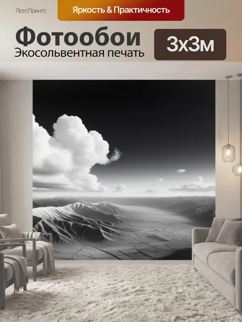 Фотообои красивый пейзаж с небом чернобелый