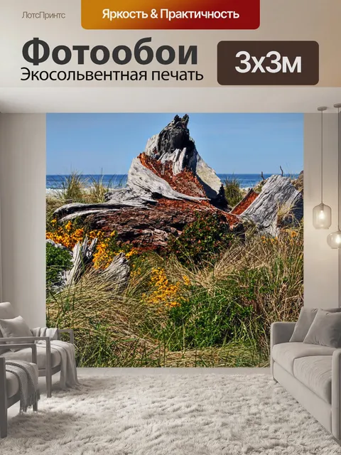 Фотообои Цветы и коряги а Береговом