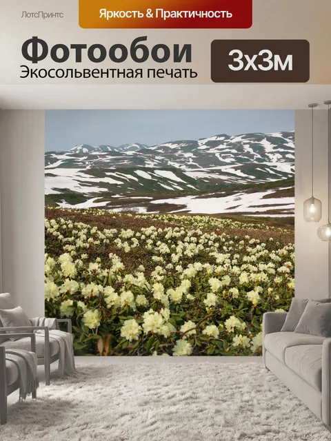 Фотообои Цветы