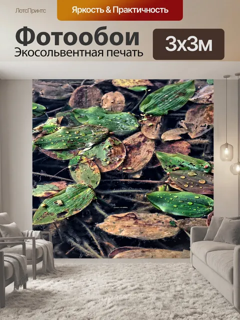 Фотообои Листья