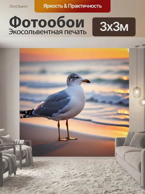 Фотообои чайка на пляже с солнечным закатом