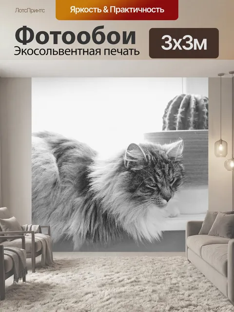 Фотообои Животные