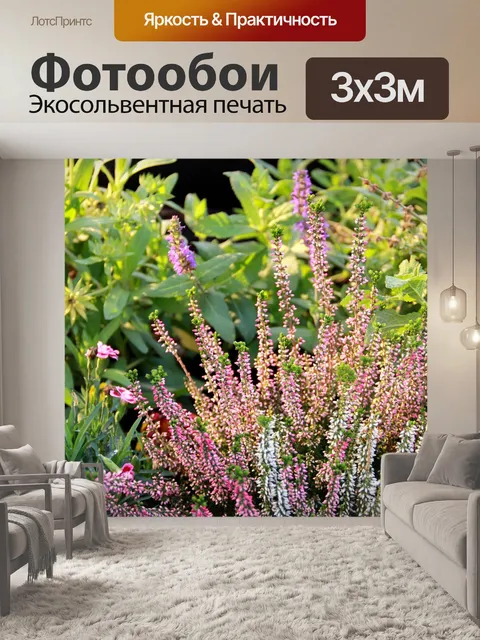 Фотообои Лаванда