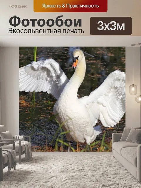 Фотообои Птица