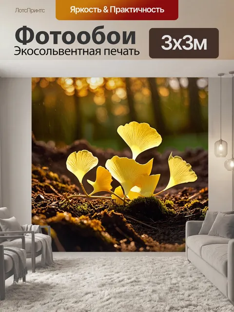 Фотообои листья гинкго, выступающие из влажной почвы тропиков, освещенные мягким светом заката