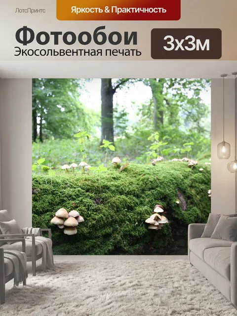 Фотообои Гриб