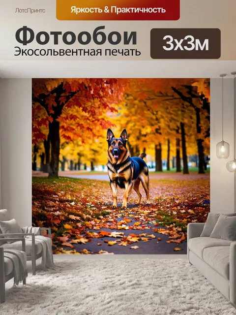Фотообои немецкая овчарка, исследующая уютный осенний парк, окружённый ярко окрашенными листьями