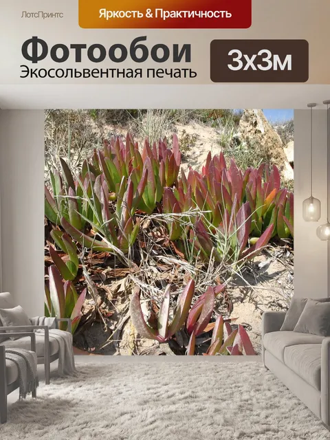 Фотообои Задний план