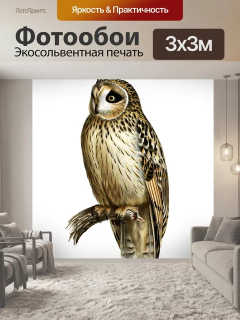 Фотообои Винтаж старый клипарт сова