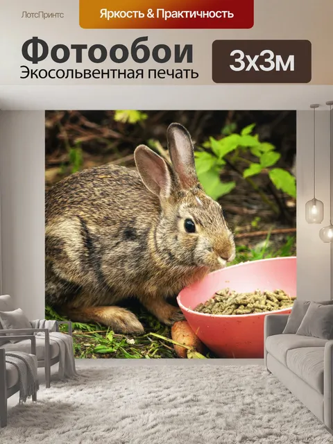 Фотообои Кролик