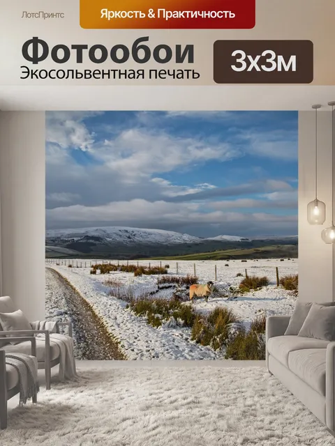 Фотообои Зимний путь