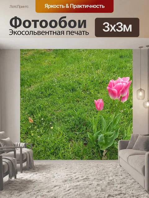 Фотообои Тюльпаны