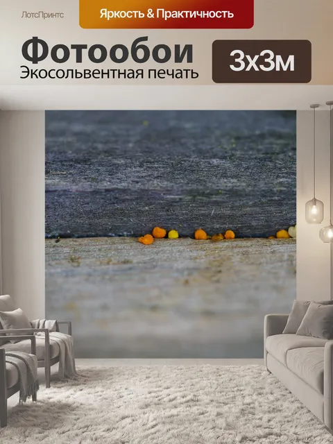Фотообои Пчелиная пыльца