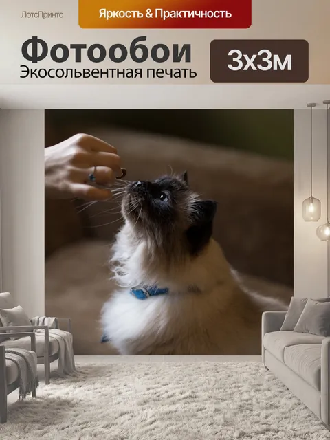 Фотообои Диван