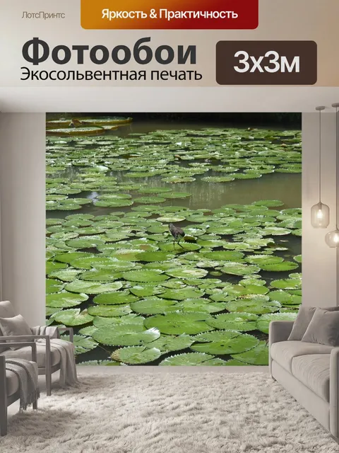 Фотообои Птица