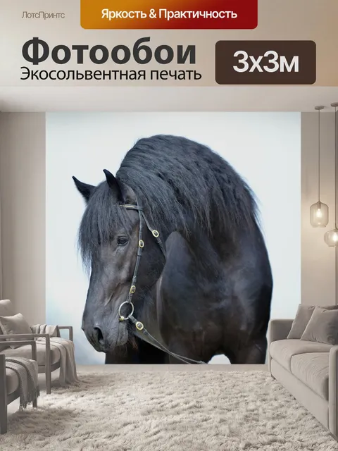 Фотообои Лошадь